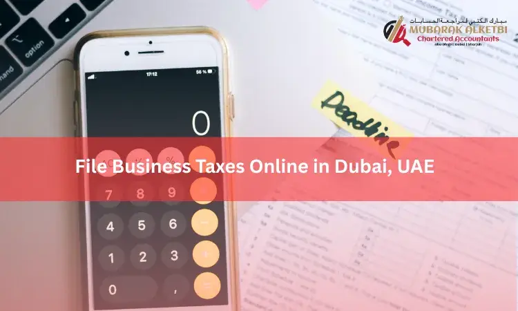 File Business Taxes Online in Dubai, UAE